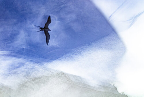 Other Dimension by Erik Malm, 写真 for Sale on Singulart