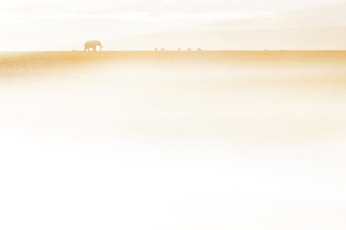 Horizon views de Erik Malm, Fotografía a la venta en Singulart