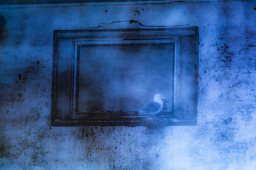 Blue Silence de Erik Malm, Fotografía a la venta en Singulart