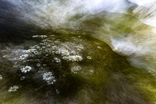 Dreams by Erik Malm, Photography for Sale on Singulart