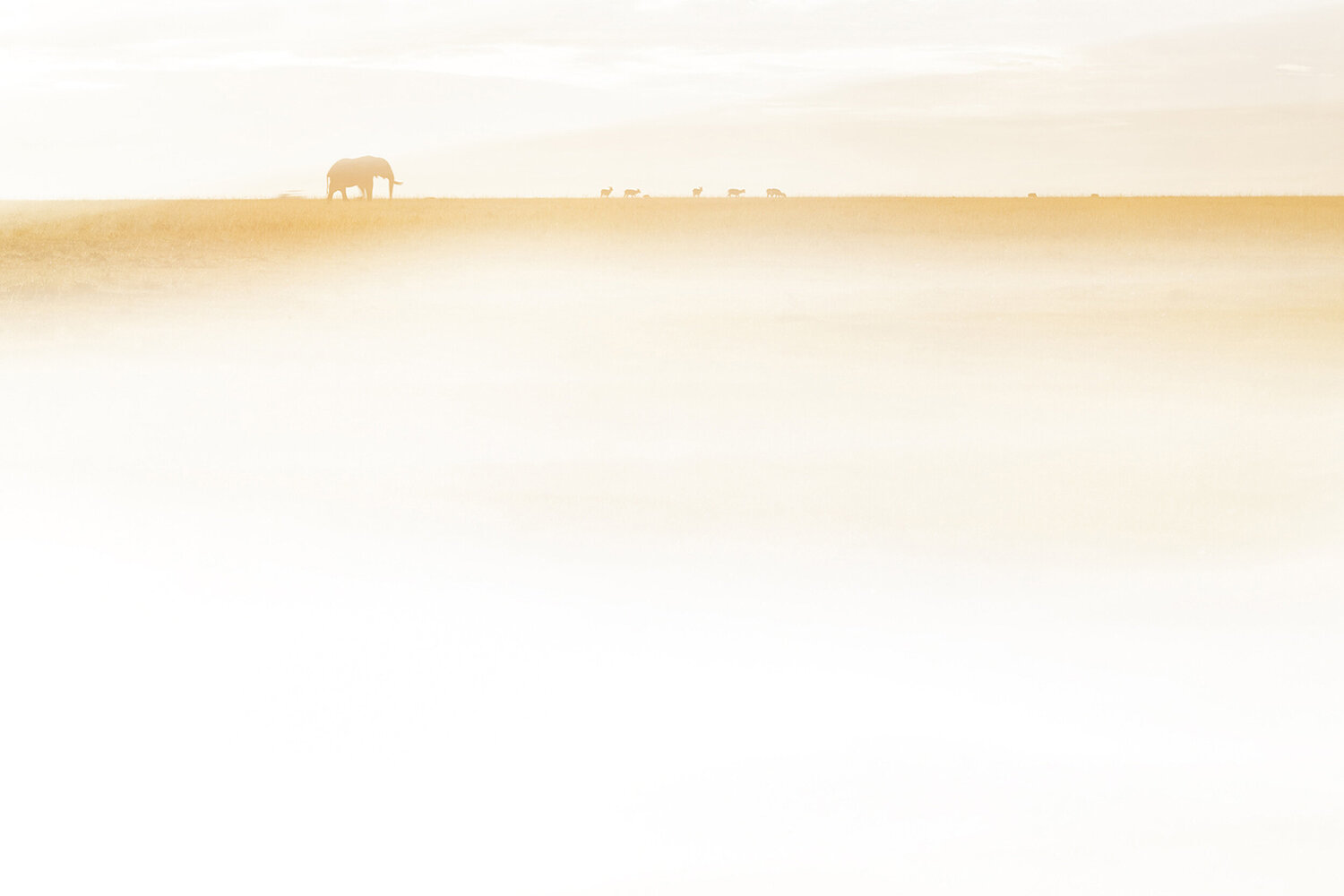 Horizon views Erik Malm