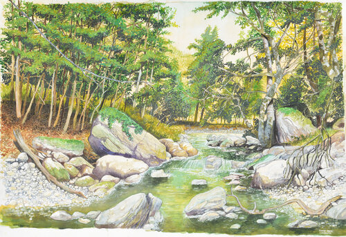 torrente Fondillo par Pierre David Cavallari, Peinture en vente sur Singulart
