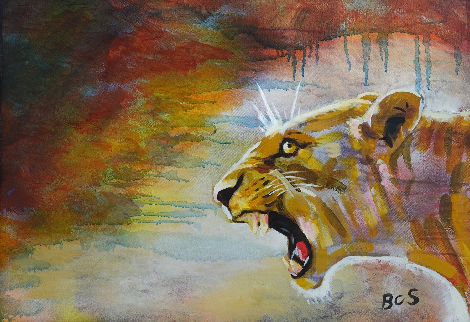 Wild Roar Barry Sears