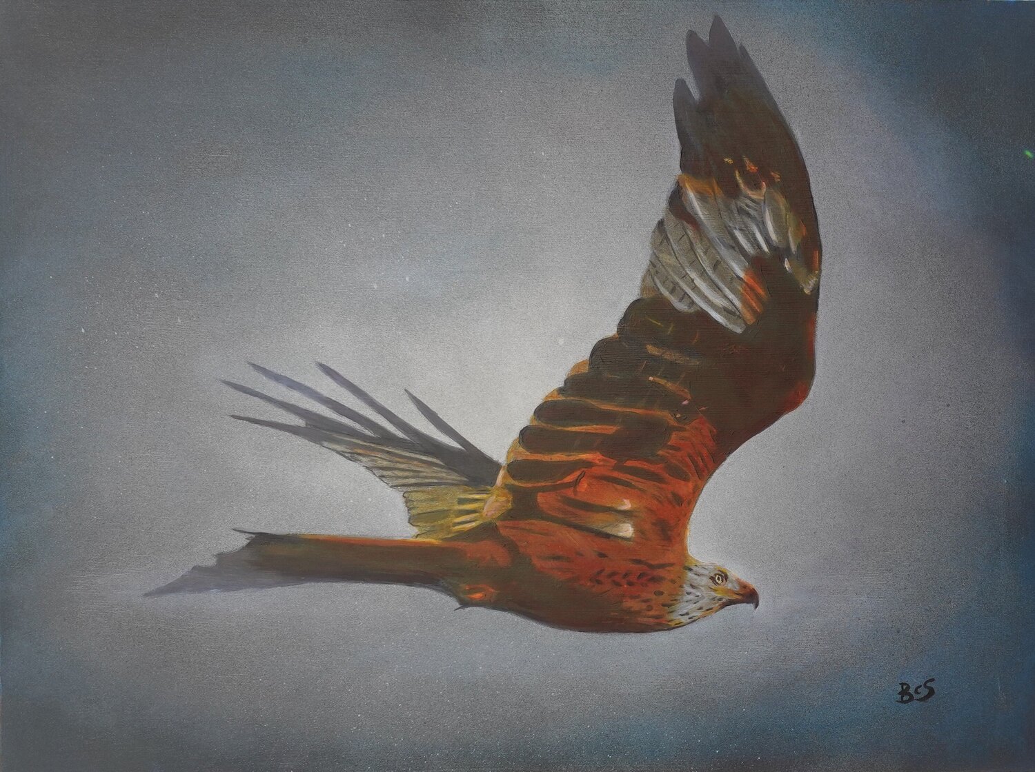 Red Kite Barry Sears Peinture originale à vendre