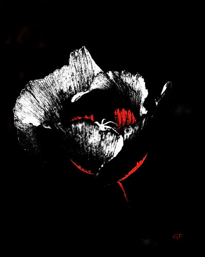Ember Bloom by Gunta Frīdenberga, Digital for Sale on Singulart
