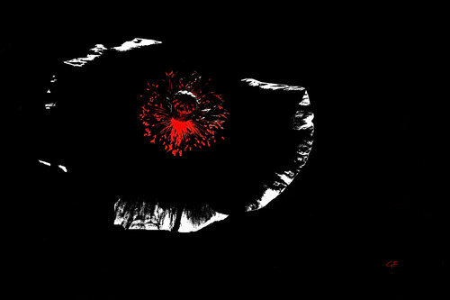 Eye of the Bloom by Gunta Frīdenberga, Digital for Sale on Singulart
