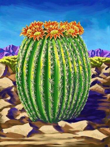 cactus3b P 30x40 by Tim Gilliland, Digital for Sale on Singulart