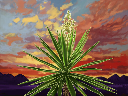 Firesky-Desert C 34x32 by Tim Gilliland, Digital for Sale on Singulart