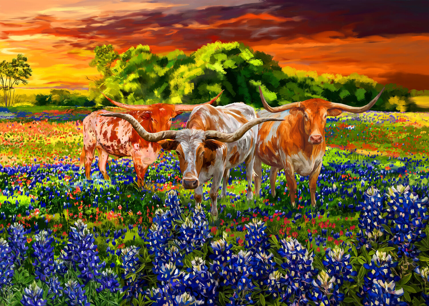 Long horns in a field in Texas P 28x24 Tim Gilliland Digital zu verkaufen