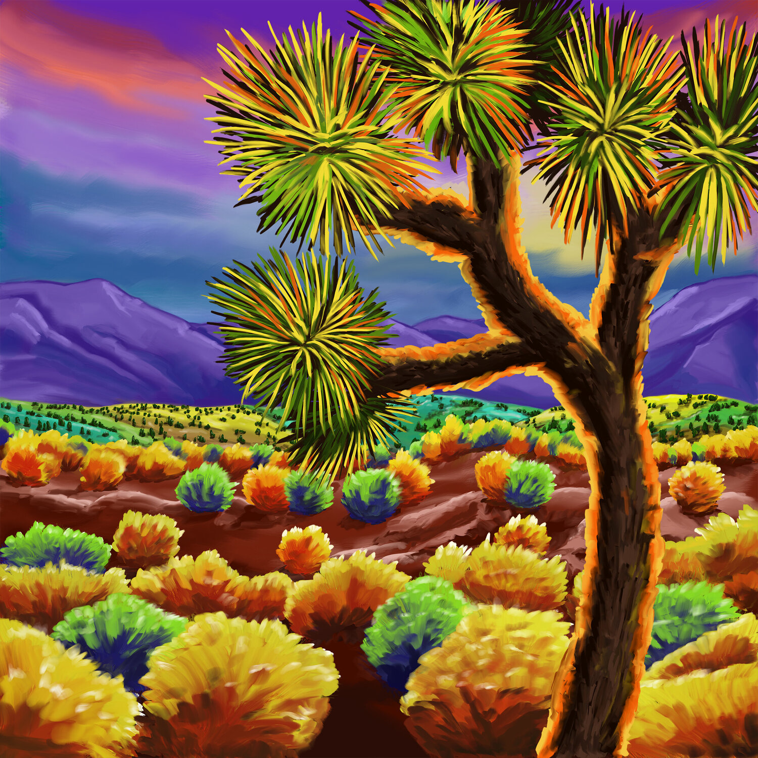 ColoredDesert-C 24x24 Tim Gilliland Digital en venta