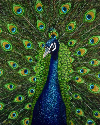 Veil of Devine Feathers par Michaele Calderone, Peinture en vente sur Singulart