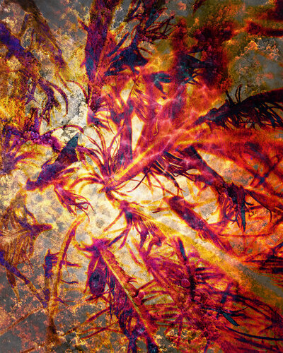 La Danse Du Feu by Julie Raymond, Digital for Sale on Singulart