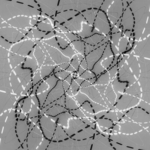 Untitled by Gellért Simon, Photography for Sale on Singulart