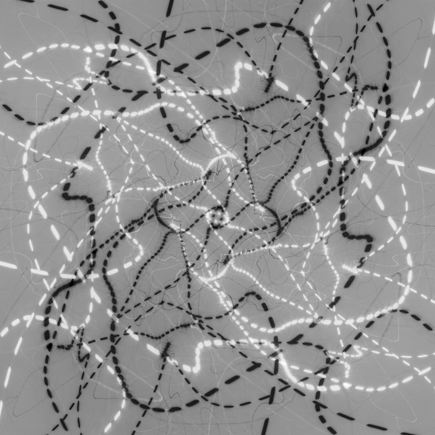 Untitled Gellért Simon