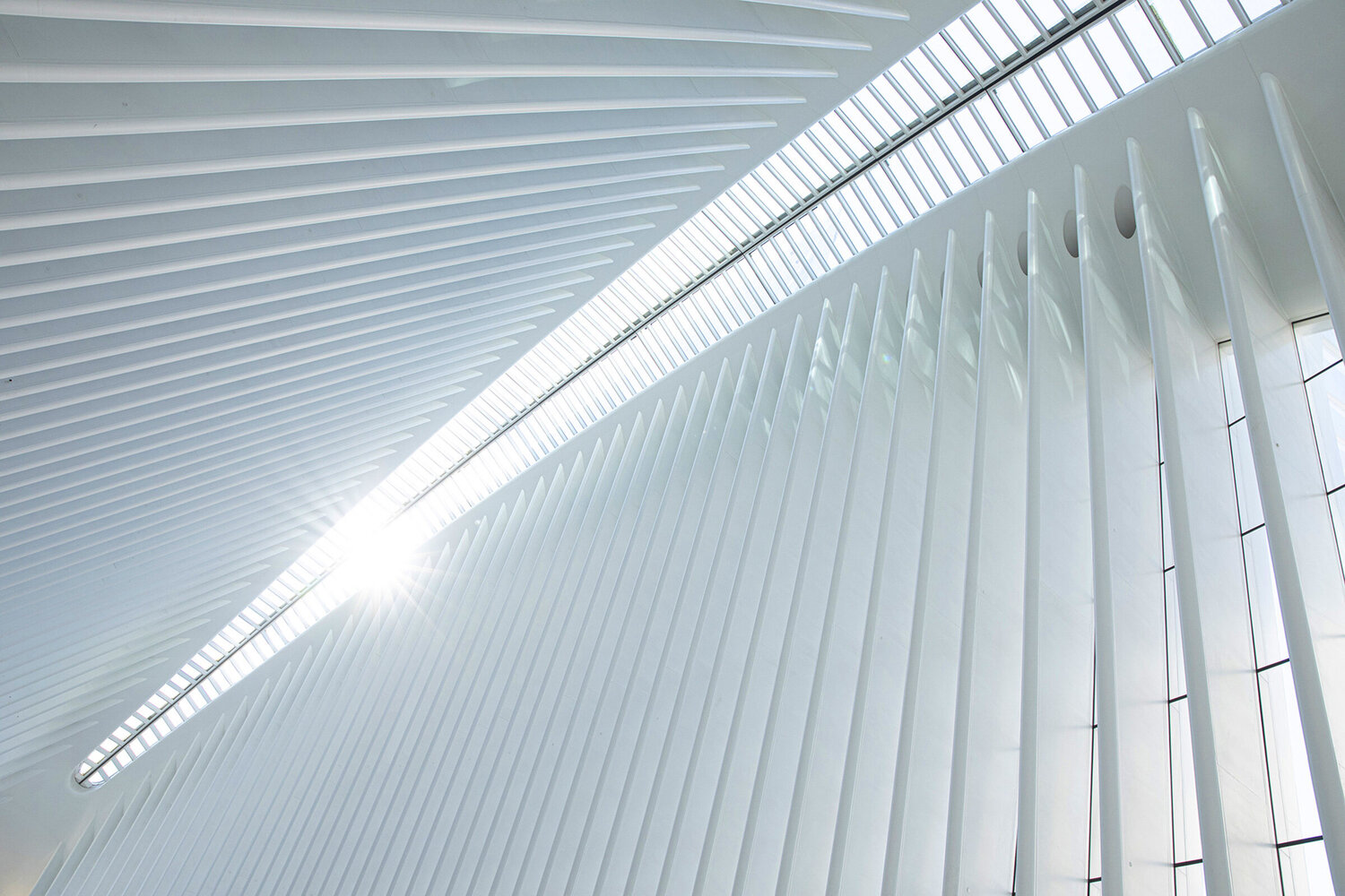 Oculus World Trade Center Karsten Thormaehlen Fotografia in vendita