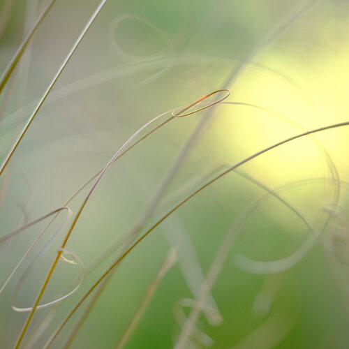 Curves and Turns by Kurt Johnson, Photography for Sale on Singulart