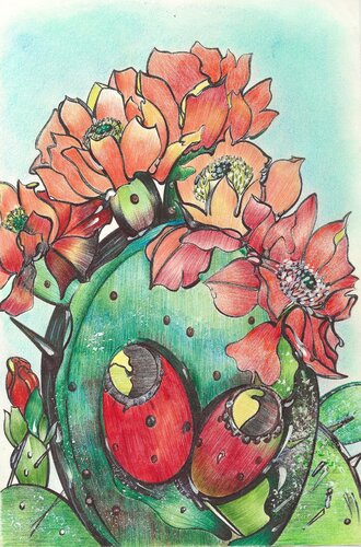 Fiori di pala di fico d'india by Cettina Pagano, デッサン for Sale on Singulart