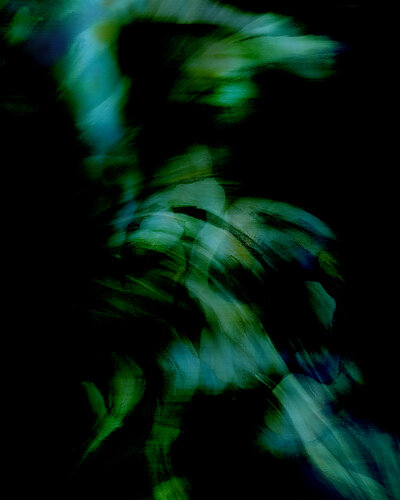 Feral by Don Van Amerongen, Digital for Sale on Singulart