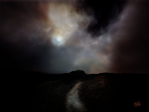 What Remains par Don Van Amerongen, Photographie en vente sur Singulart