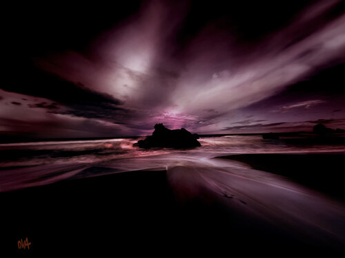 Holdfast par Don Van Amerongen, Photographie en vente sur Singulart