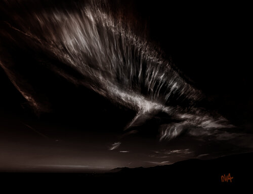 Dark Wing de Don Van Amerongen, Fotografía a la venta en Singulart