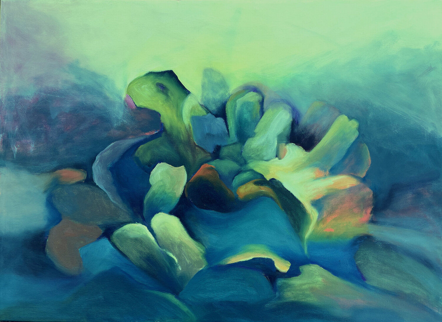 Sea Garden Don Van Amerongen