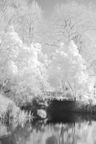 Gardens in Red 1 by Pedro Pinto Basto, Photography for Sale on Singulart