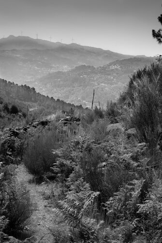 Rocks 1 by Pedro Pinto Basto, 写真 for Sale on Singulart