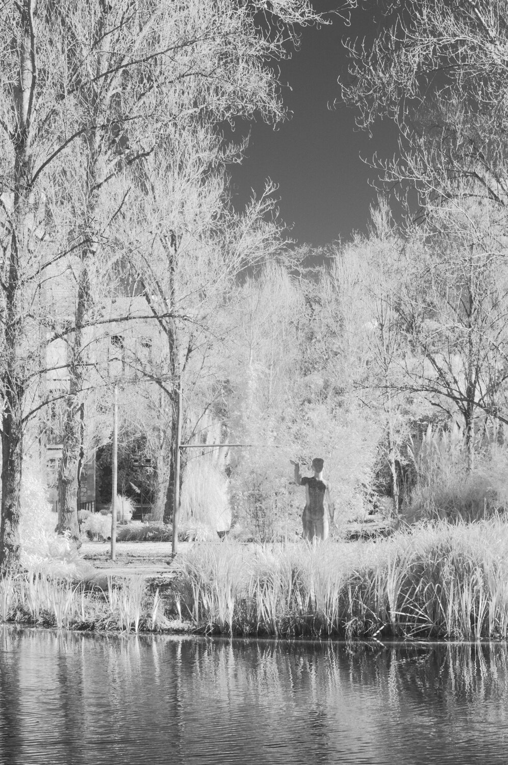 Gardens in Red 5 Pedro Pinto Basto Fotografie te koop