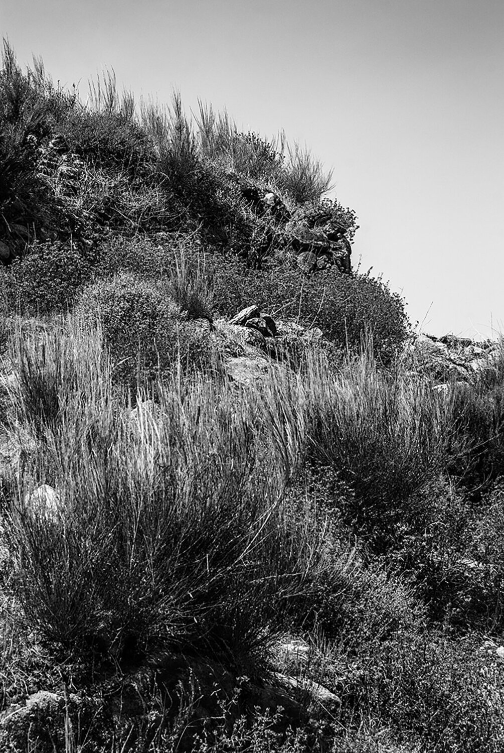 Rocks 2 Pedro Pinto Basto Fotografie zu verkaufen