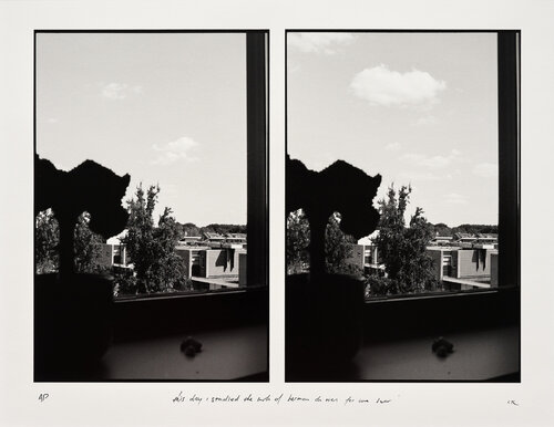 this day i studied the work of herman de vries for one hour de Christian Reijnoudt, Fotografía a la venta en Singulart