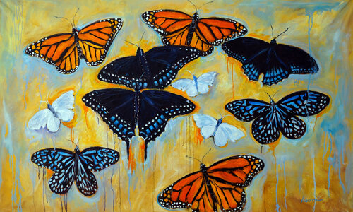 Les Papillons Valerie Vescovi