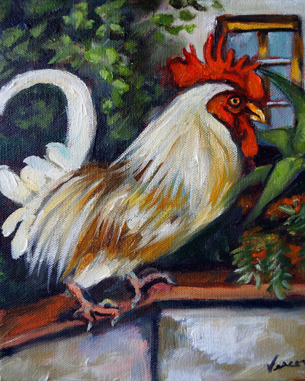 Il Gallo Valerie Vescovi
