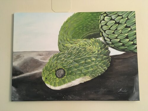 Watching eyes di Eniko Hermann, Pittura in vendita su Singulart