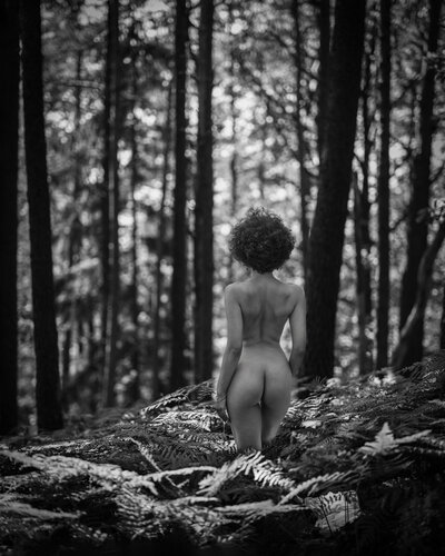 In the woods von Christian Schaeffer, Fotografie kaufen auf Singulart