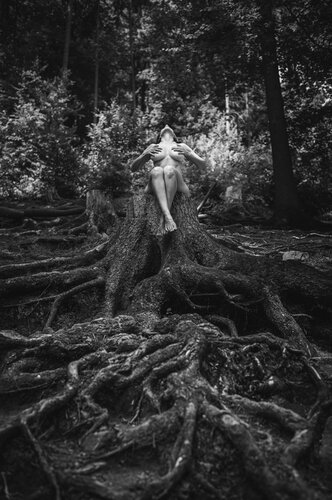Tree von Christian Schaeffer, Fotografie kaufen auf Singulart