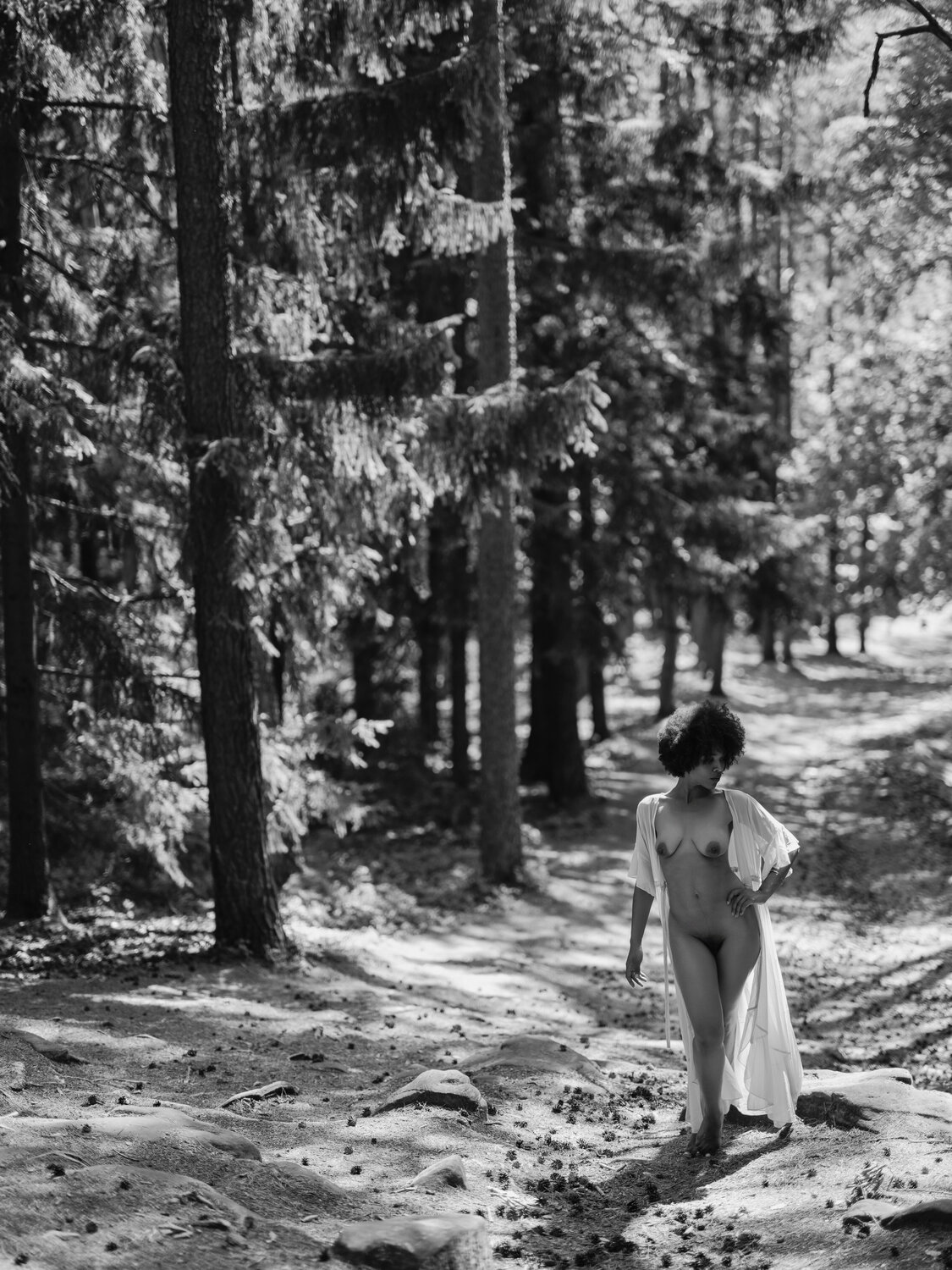 In the woods  #2 Christian Schaeffer Fotografie zu verkaufen