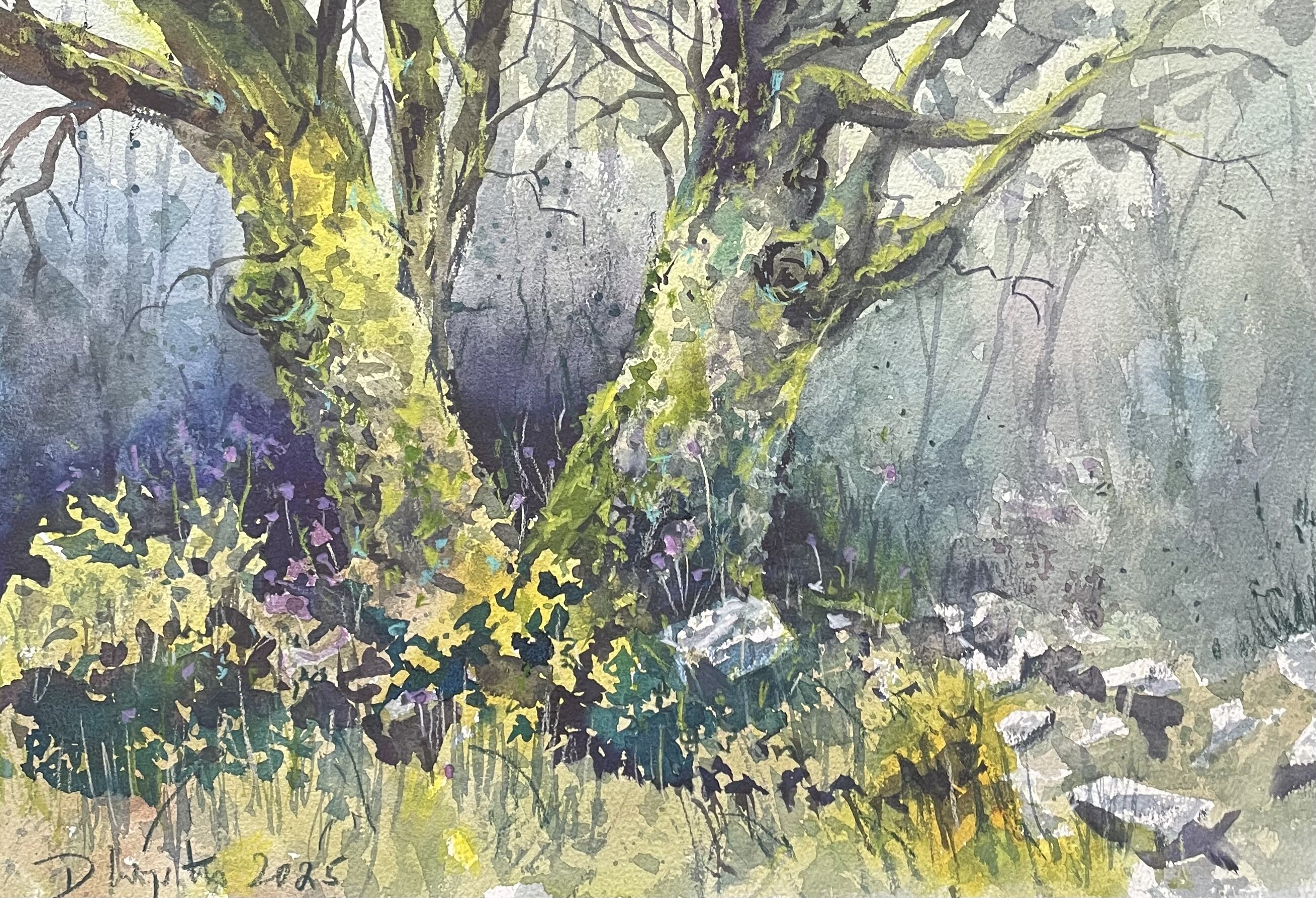 mossy