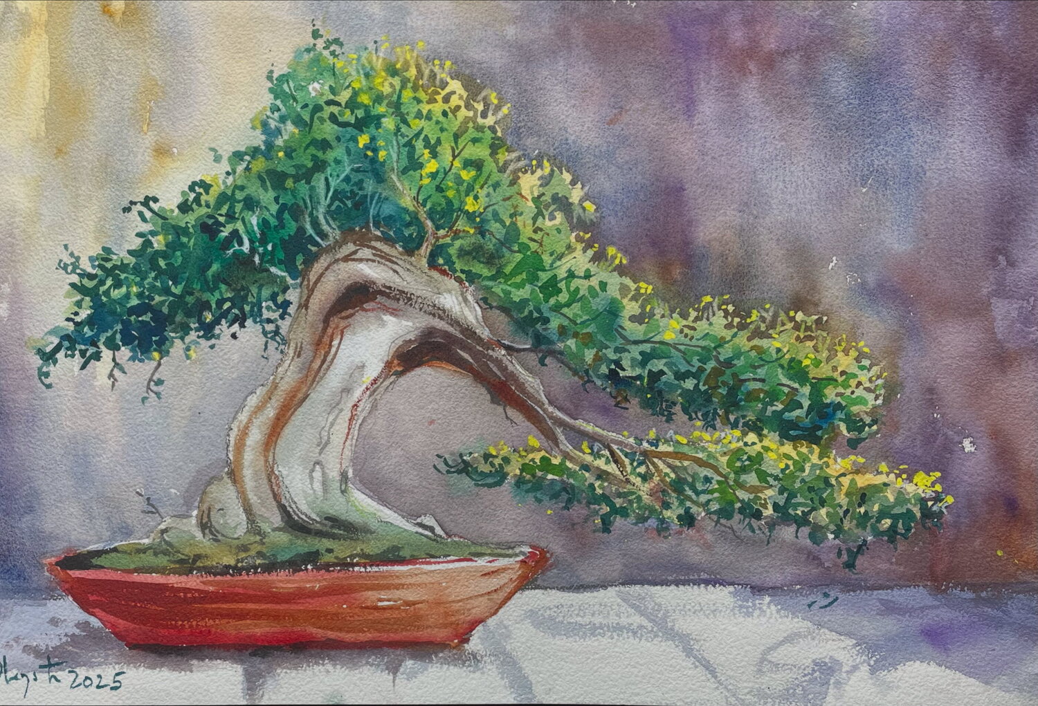 Bonsai Dieter Wystemp Werk op papier te koop