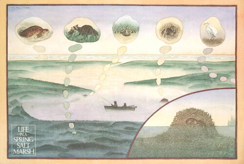 Life in a Spring Salt Marsh - Offset Lithograph 22" x 33" by James McMullan, 版画 for Sale on Singulart