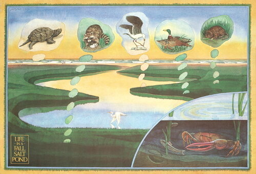 Life in a Fall Salt Pond - Offset Lithograph 22" x 32.25" by James McMullan, 版画 for Sale on Singulart