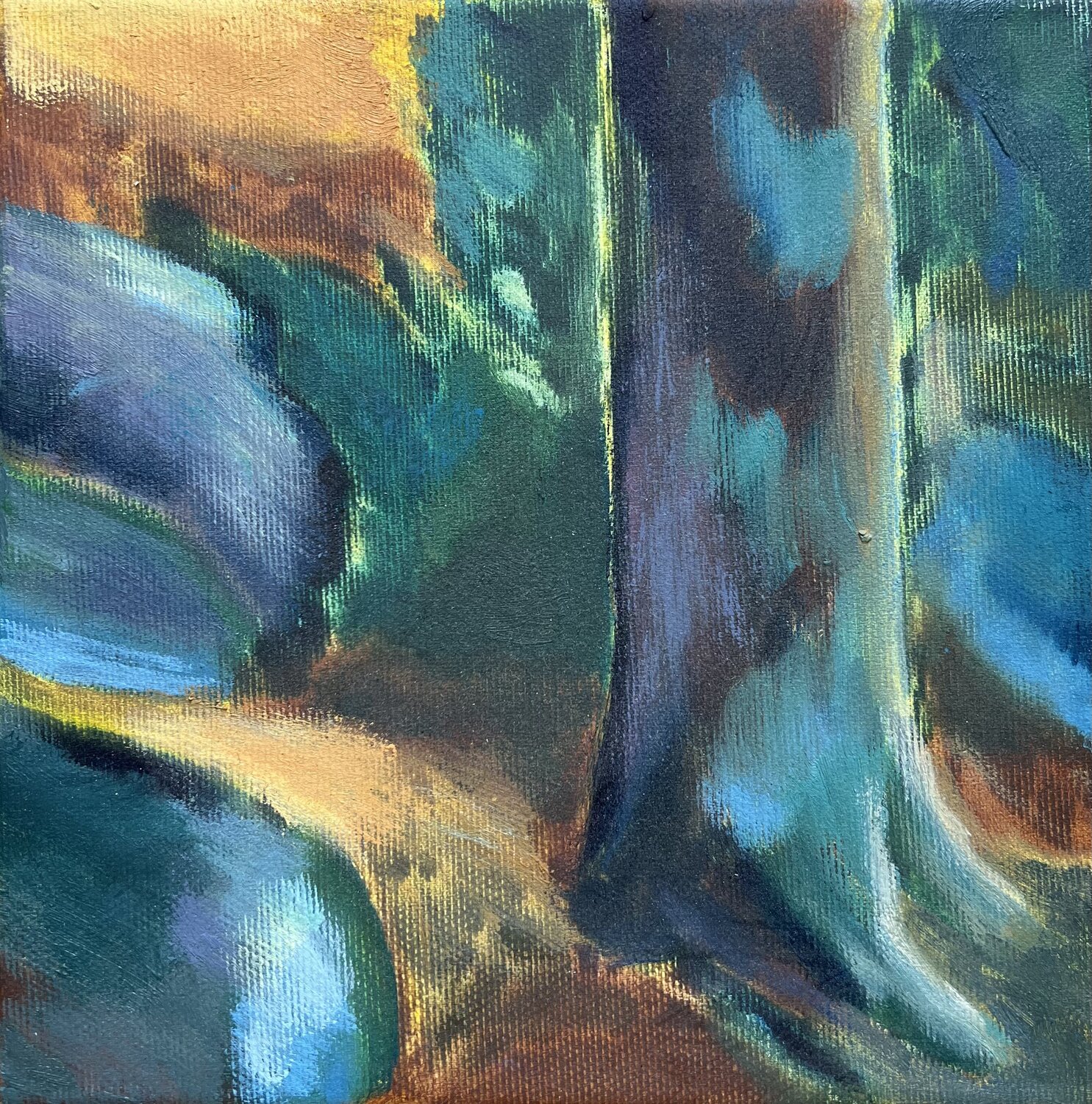 Setting behind the tree trunks Cecilia Hedlund