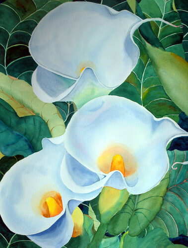 White Callas von Anita Wood, Malerei kaufen auf Singulart