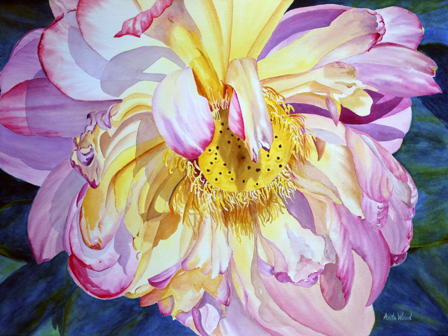 Lotus Blossom Anita Wood Dipinto originale in vendita