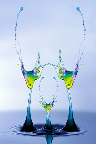 Famille by laurent hutinet, 写真 for Sale on Singulart