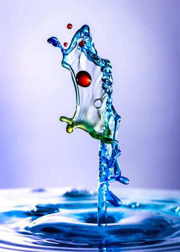 Le poisson by laurent hutinet, 写真 for Sale on Singulart