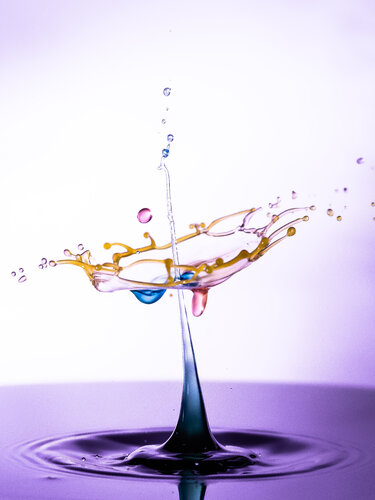 douceur par laurent hutinet, Photographie en vente sur Singulart