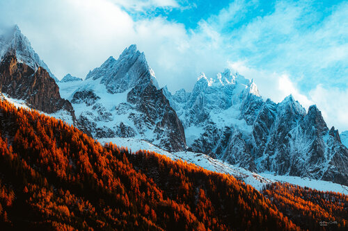 Lumière d’automne by Anthony Castelle, Photography for Sale on Singulart