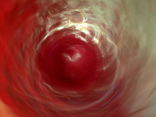 Eternal Apple par Thana Leenahwattana, Photographie en vente sur Singulart