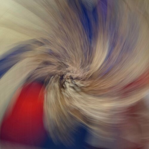 Virevoltant by Tony Lian, Photography for Sale on Singulart